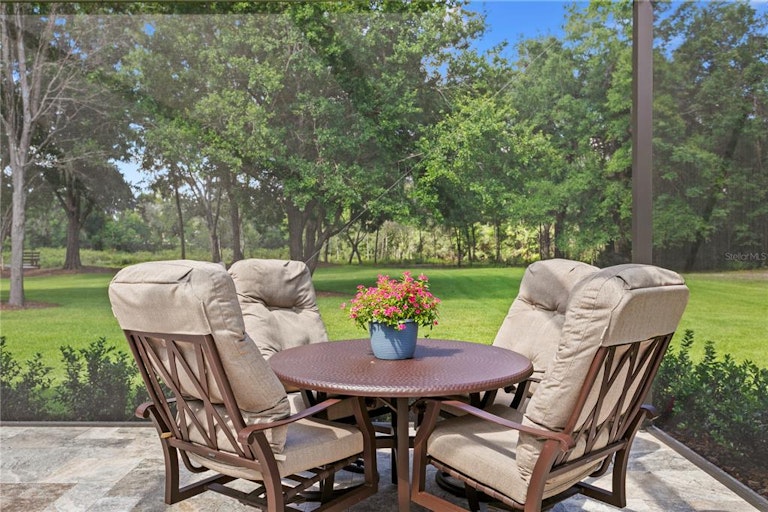 Photo 62 of 77 - 17005 Midas Ln, Lutz, FL 33549