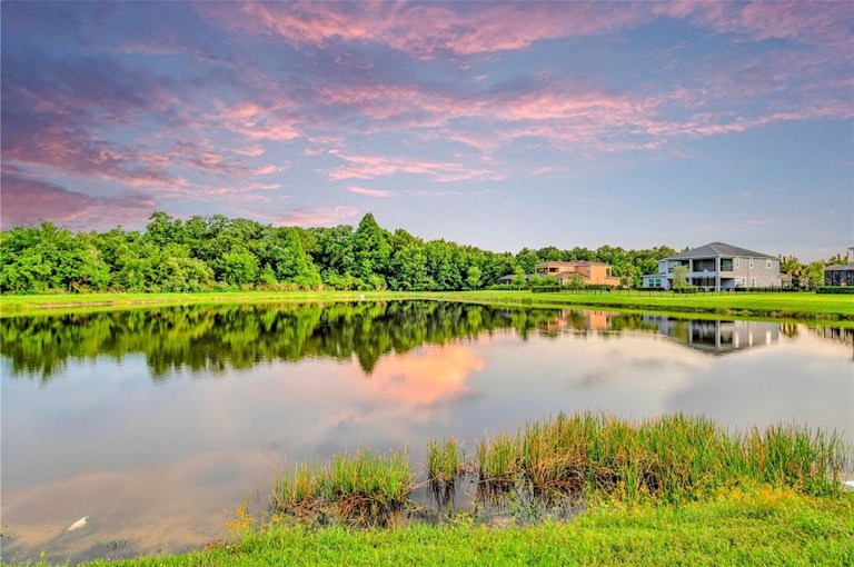 Photo 60 of 88 - 2707 Cordoba Ranch Blvd, Lutz, FL 33559