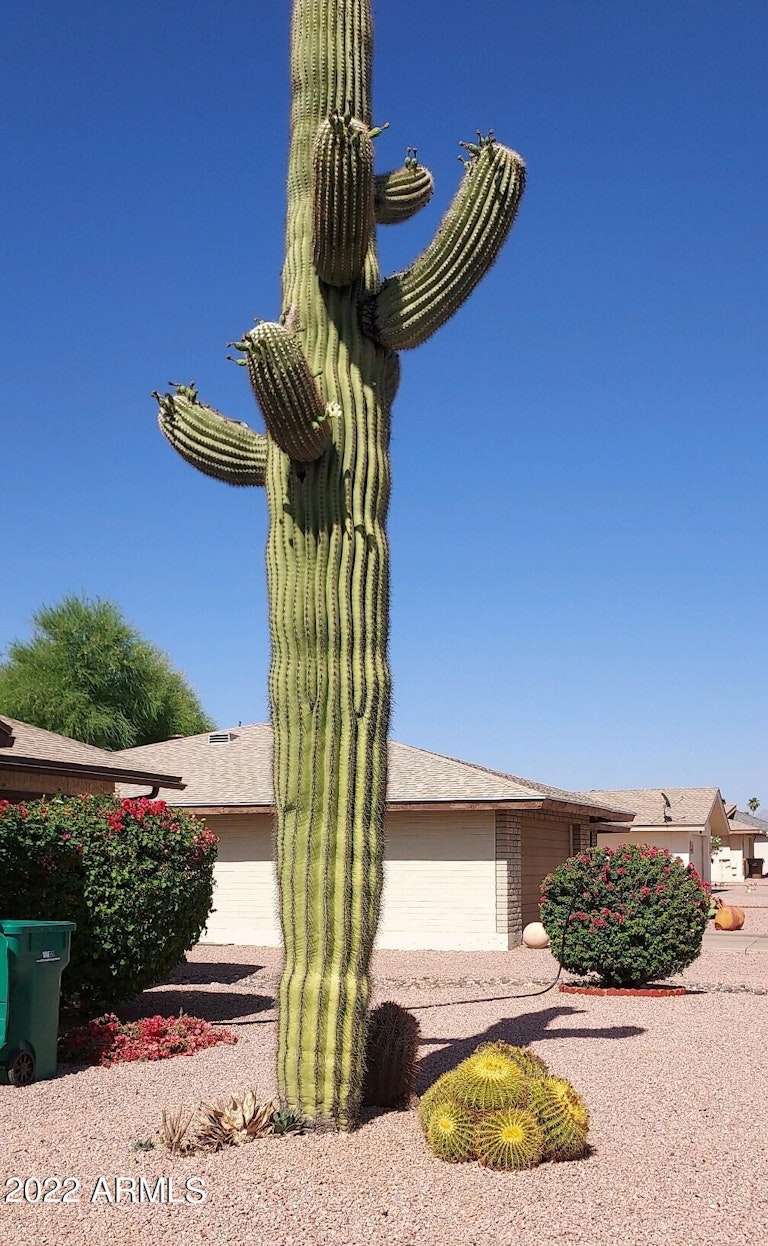 Photo 2 of 43 - 6606 E Dallas St, Mesa, AZ 85205