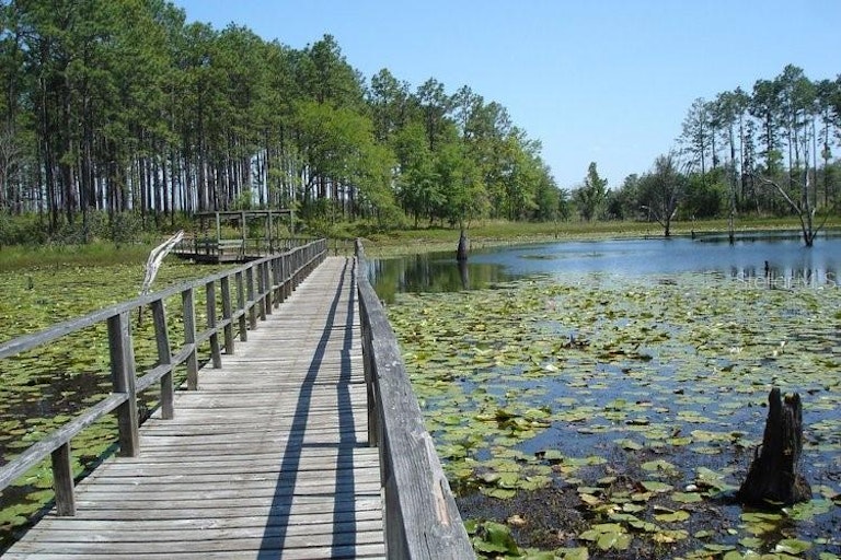 Photo 25 of 26 - 11447 Park Blvd #213, Seminole, FL 33772