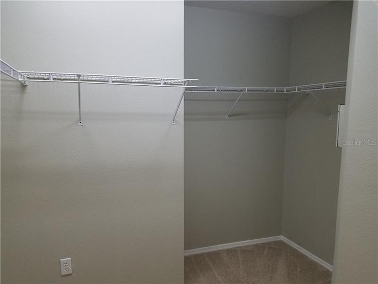 Photo 18 of 25 - 19406 Golden Slipper Pl, Lutz, FL 33558