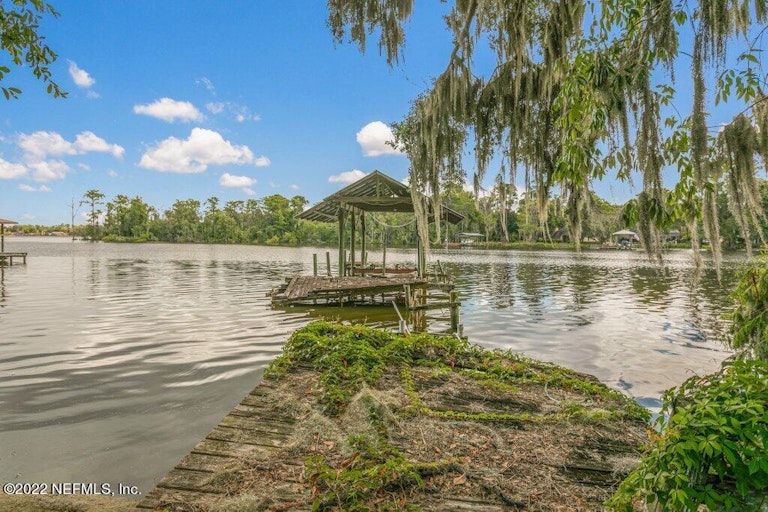 Photo 38 of 55 - 50 Harmony Hall Rd, Middleburg, FL 32068
