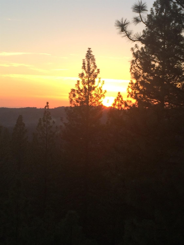 Photo 39 of 56 - 3802 Mount Diablo View Ct, Placerville, CA 95667
