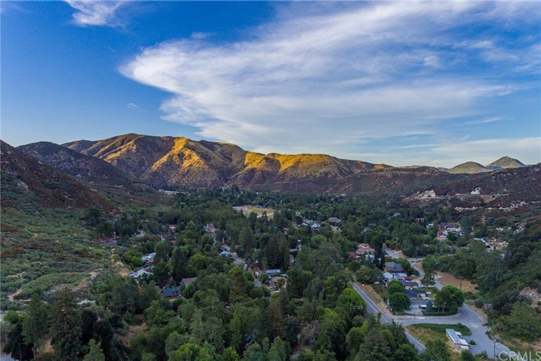 Photo 16 of 16 - 366 Lytle Ln, Lytle Creek, CA 92358