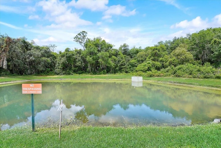 Photo 2 of 45 - 34510 Cliffcreek Ct, Wesley Chapel, FL 33545
