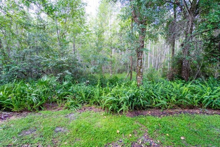 Photo 39 of 71 - 8105 Stone Leaf Ln, Tampa, FL 33647