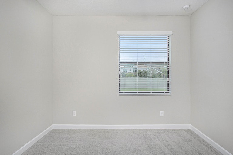 Photo 10 of 18 - 11009 Little Blue Heron Dr, Riverview, FL 33579