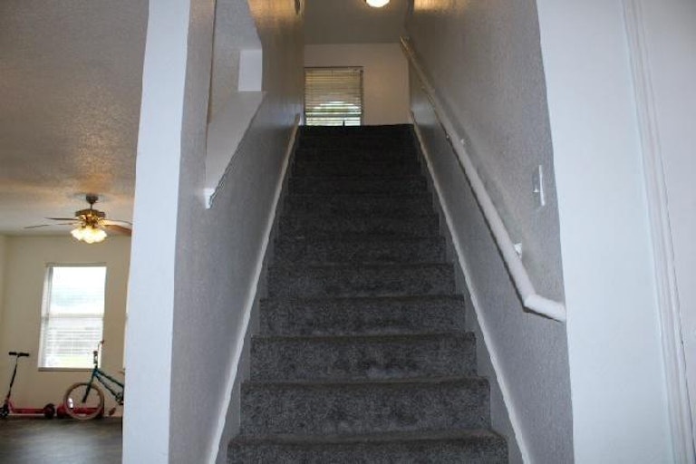 Photo 24 of 33 - 4220 Boxwood Dr, Balch Springs, TX 75180