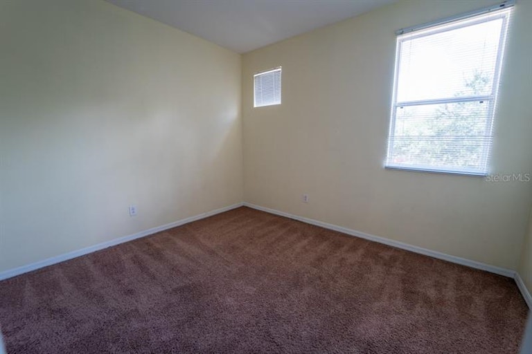 Photo 55 of 71 - 8105 Stone Leaf Ln, Tampa, FL 33647