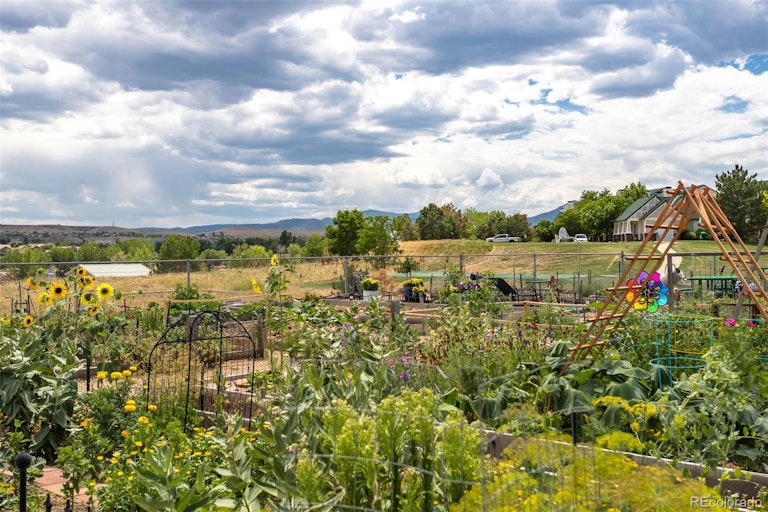 Photo 23 of 25 - 2059 Eagle Ave, Superior, CO 80027