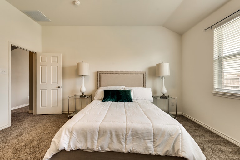 Photo 19 of 37 - 229 Willowlake Dr, Little Elm, TX 75068