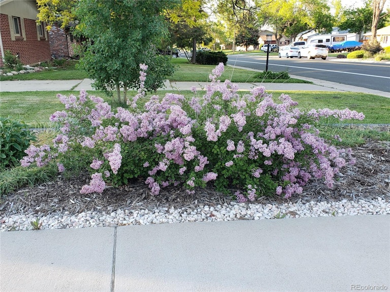 Photo 29 of 30 - 785 Daphne St, Broomfield, CO 80020