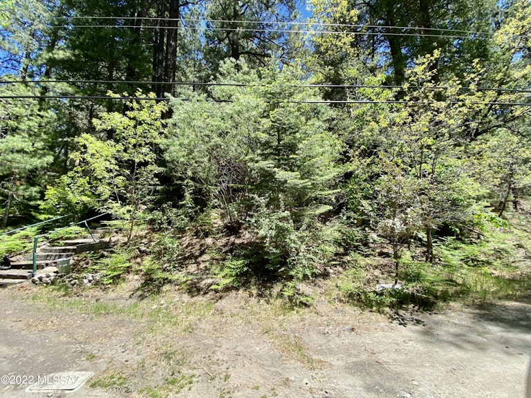 Photo 26 of 32 - 12708 N Sabino Canyon Pkwy, Mount Lemmon, AZ 85619