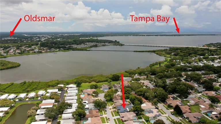 Photo 8 of 99 - 206 Timberview Dr, Safety Harbor, FL 34695