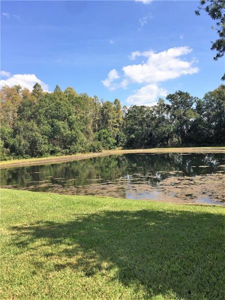 Photo 2 of 19 - 3128 Sheehan Dr, Land O Lakes, FL 34638