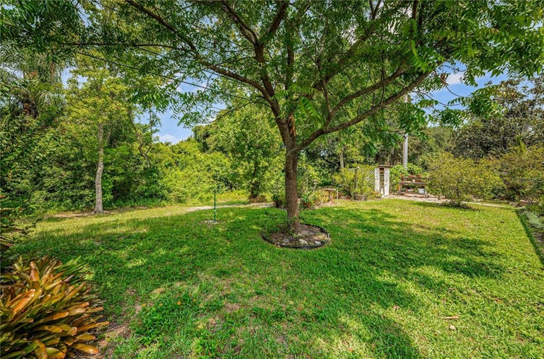 Photo 33 of 86 - 2529 Indigo Dr, Dunedin, FL 34698