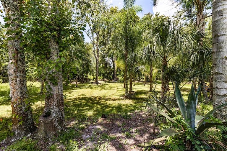 Photo 53 of 63 - 1208 5th St, Wimauma, FL 33598