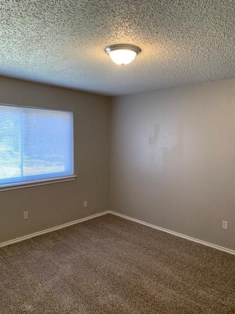 Photo 10 of 25 - 1718 Highgate Dr, Duncanville, TX 75137