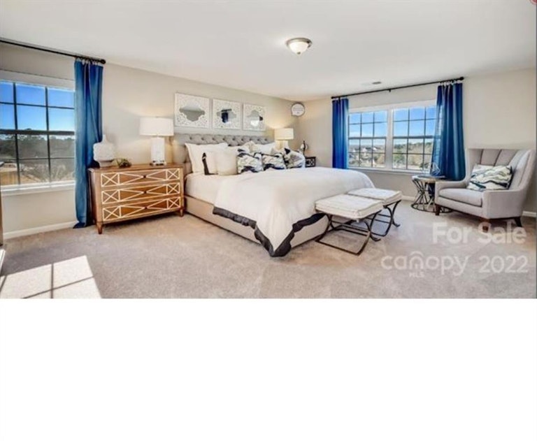 Photo 8 of 15 - 1017 Batiste Ave #688, Waxhaw, NC 28173