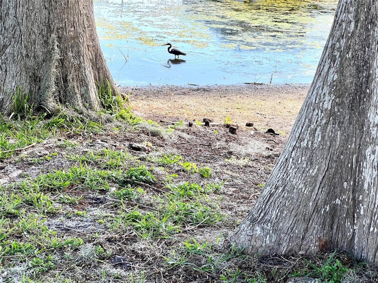 Photo 43 of 48 - 1519 S Lake Shipp Dr, Winter Haven, FL 33880