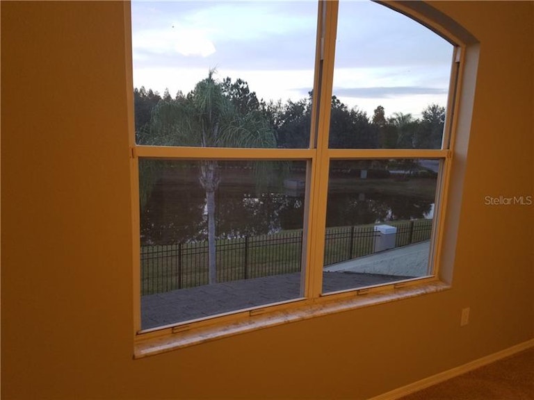 Photo 24 of 25 - 19406 Golden Slipper Pl, Lutz, FL 33558