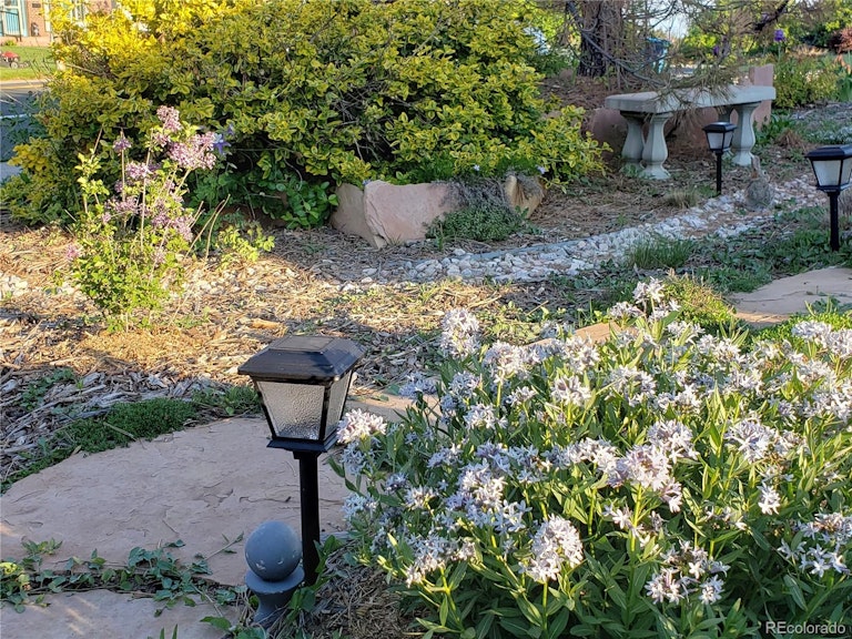 Photo 28 of 30 - 785 Daphne St, Broomfield, CO 80020