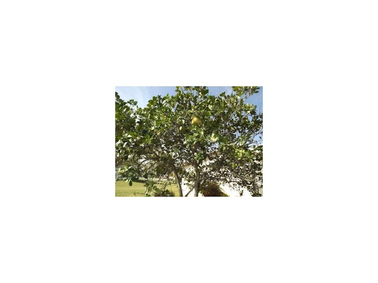 Photo 21 of 24 - 340 Blue Bayou Dr, Kissimmee, FL 34743