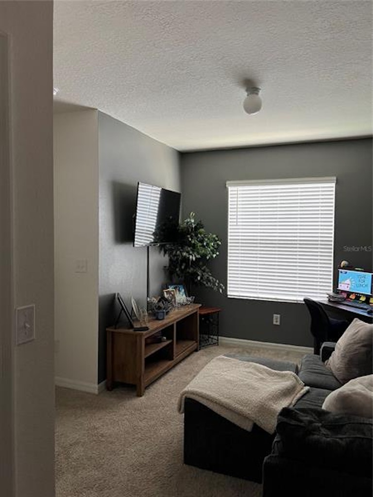 Photo 34 of 60 - 821 Lucent Sands Ct, Brandon, FL 33511