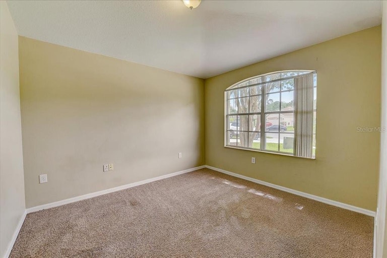 Photo 22 of 45 - 34510 Cliffcreek Ct, Wesley Chapel, FL 33545
