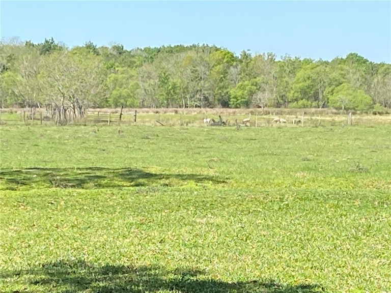 Photo 13 of 25 - 2330 N Valrico Rd, Seffner, FL 33584