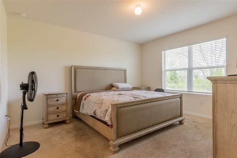 Photo 14 of 34 - 30855 Summer Sun Loop, Wesley Chapel, FL 33545