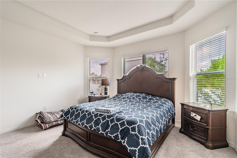 Photo 20 of 47 - 7059 Scarlet Cedar Dr, Wesley Chapel, FL 33545