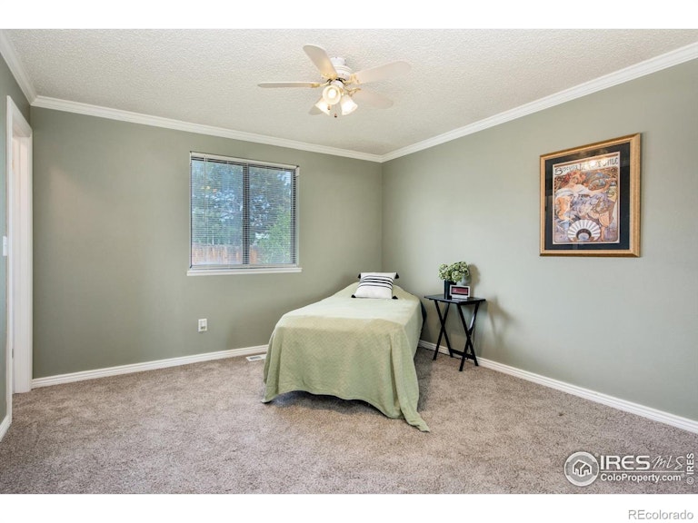 Photo 13 of 30 - 4689 E 115th Ct, Thornton, CO 80233