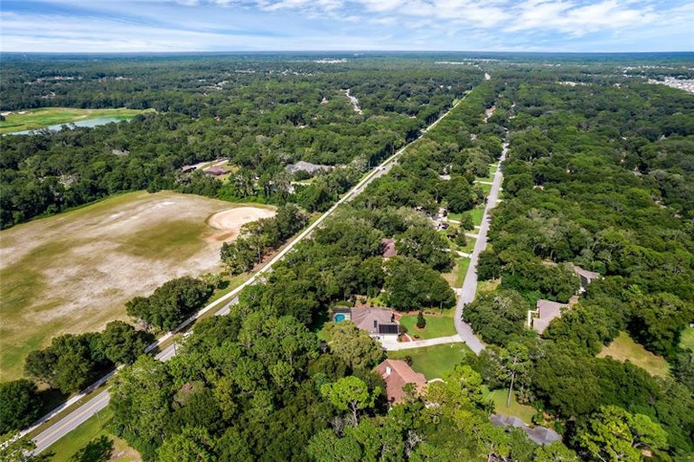 Photo 48 of 52 - 1045 Torchwood Dr, Deland, FL 32724