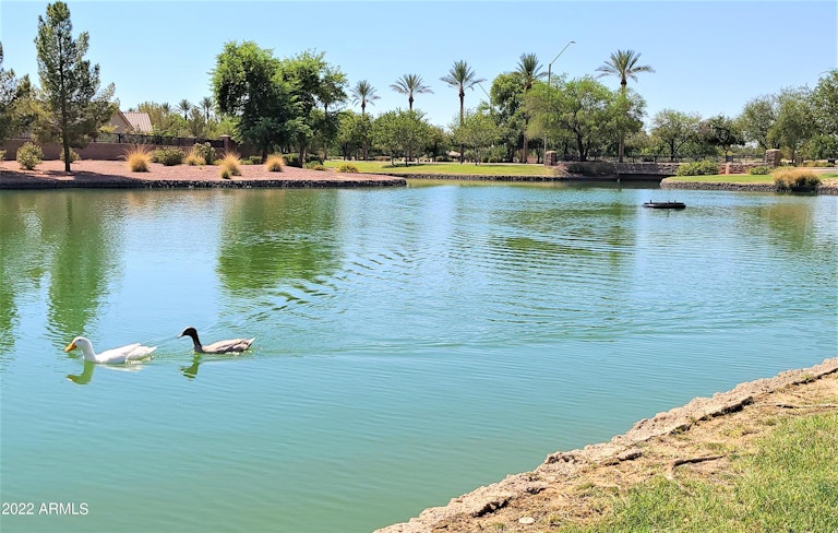 Photo 41 of 42 - 333 W Atlantic Dr, Casa Grande, AZ 85122