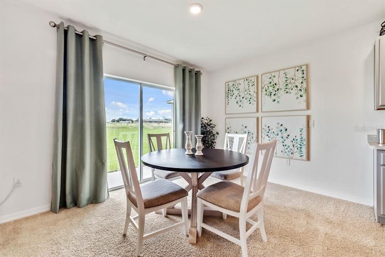 Photo 12 of 33 - 3008 Aventino Ln, Tavares, FL 32778