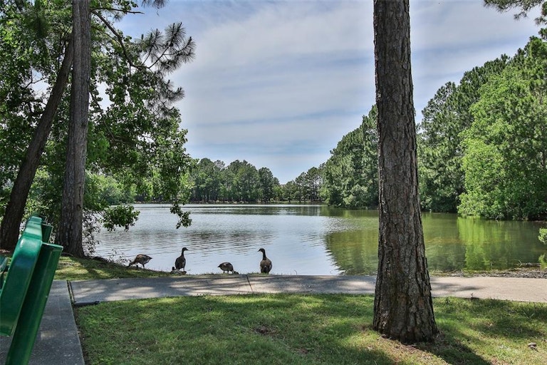 Photo 41 of 50 - 20602 Sunset Bend Ln, Spring, TX 77379