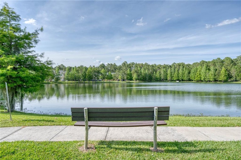 Photo 27 of 31 - 14308 Desert Haven St #3903, Windermere, FL 34786