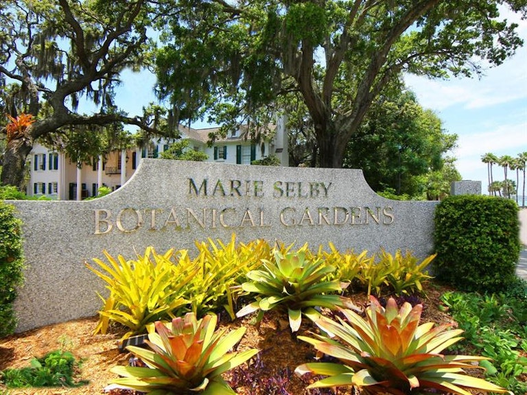 Photo 65 of 69 - 635 N Osprey Ave, Sarasota, FL 34236