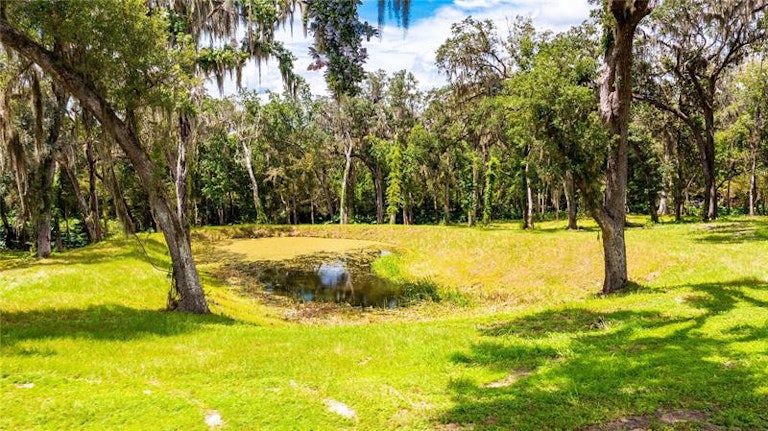 Photo 19 of 95 - 31949 Amberlea Rd, Dade City, FL 33523