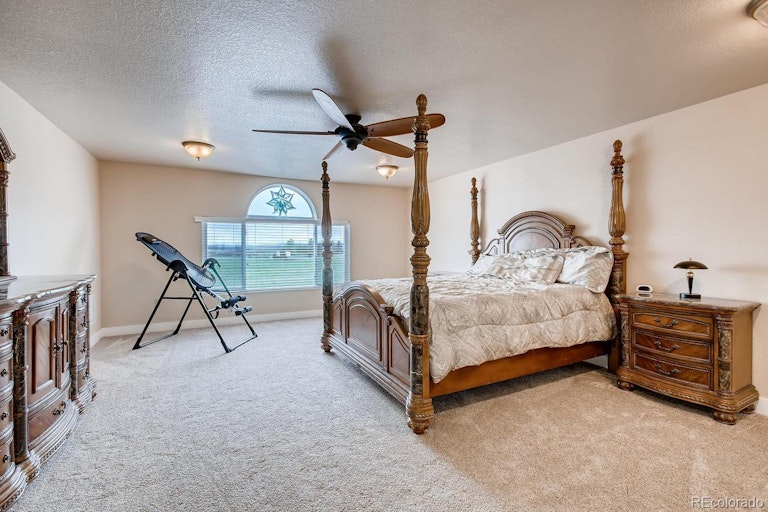 Photo 30 of 38 - 6233 Lake Gulch Rd, Castle Rock, CO 80104