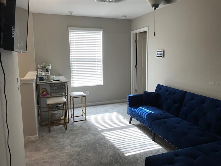 Photo 13 of 25 - 12757 Lemon Pepper Dr, Riverview, FL 33578