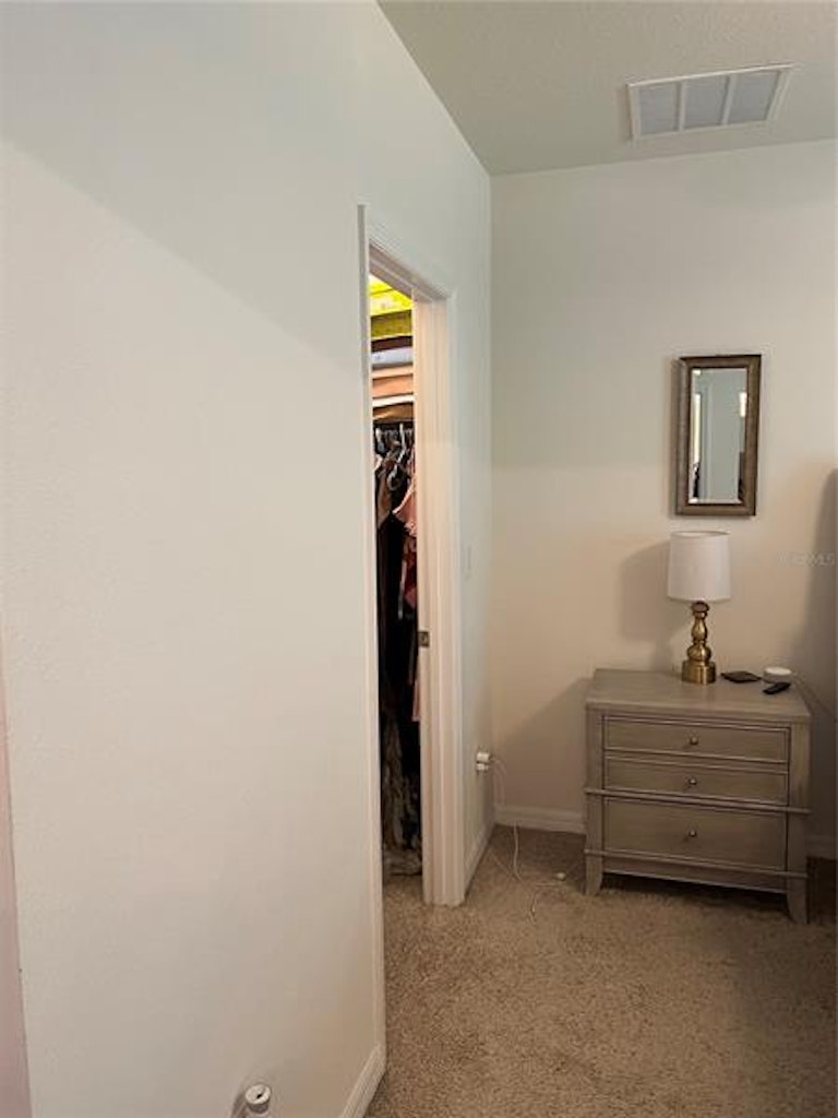 Photo 53 of 60 - 821 Lucent Sands Ct, Brandon, FL 33511