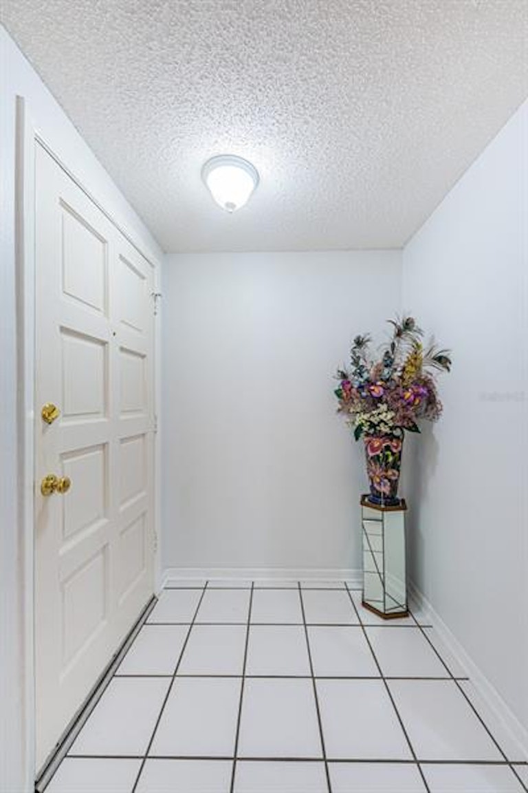 Photo 6 of 41 - 1012 Peninsula Rd, Tarpon Springs, FL 34689