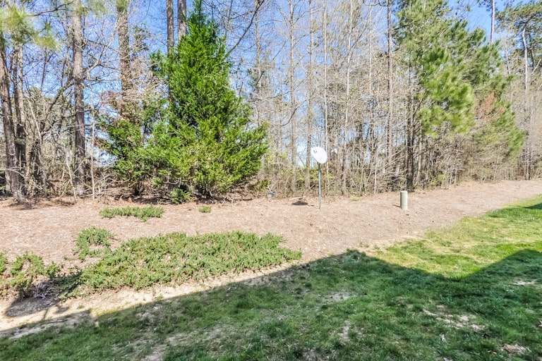 Photo 25 of 25 - 135 Florians Dr, Holly Springs, NC 27540