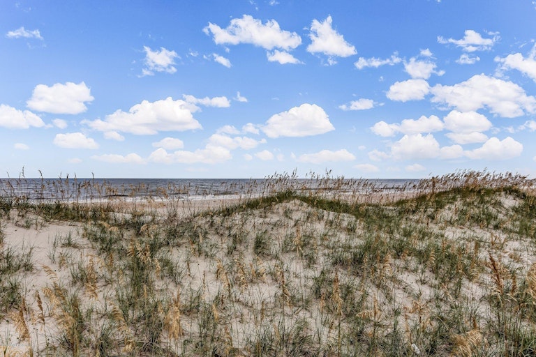 Photo 89 of 89 - 1636 Irene Ct, Fernandina Beach, FL 32034