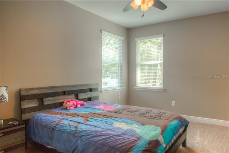 Photo 20 of 25 - 541 Westchester Hills Ln, Valrico, FL 33594