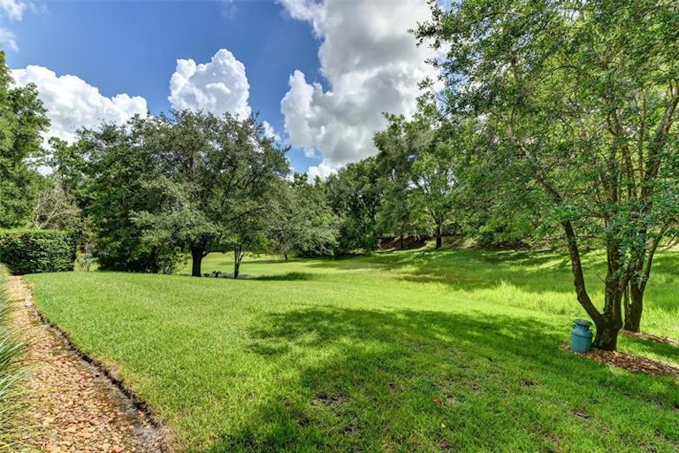 Photo 46 of 47 - 1411 Wyngate Dr, Deland, FL 32724