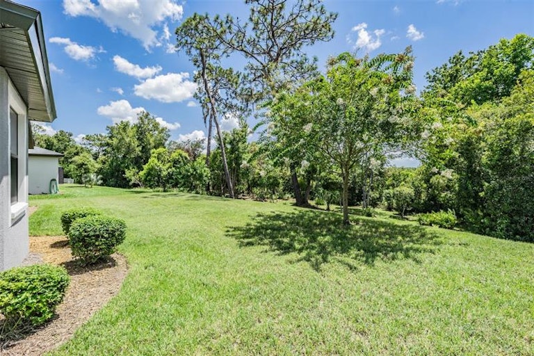 Photo 30 of 41 - 19828 Lonesome Pine Dr, Land O Lakes, FL 34638