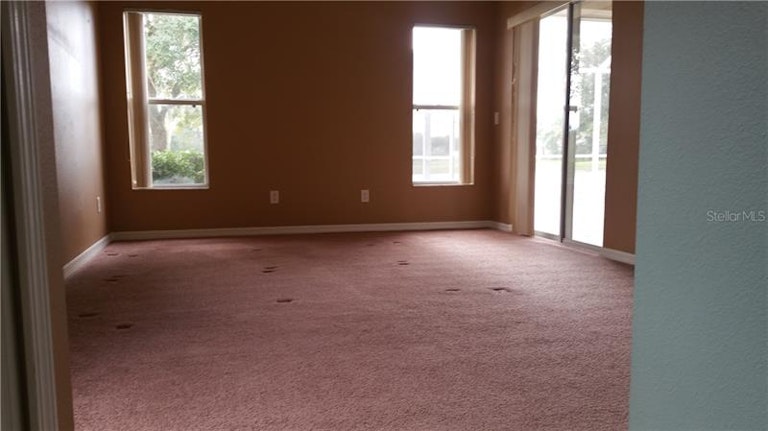 Photo 13 of 24 - 27434 Edenfield Dr, Wesley Chapel, FL 33544
